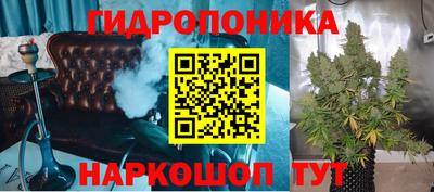 спиды Кинель