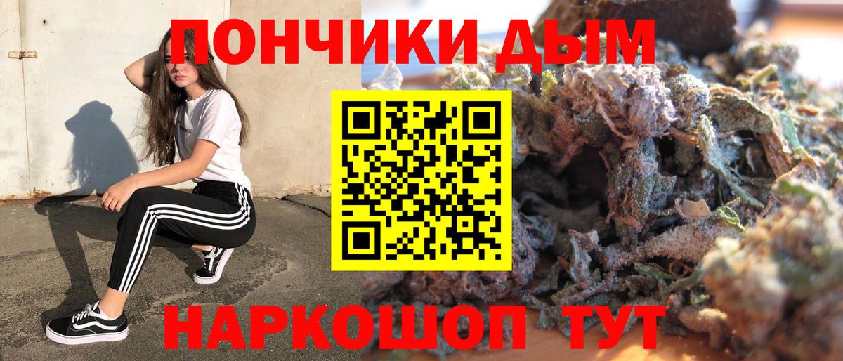Бошки марихуана сатива  Канабис тримм  Марихуана план  Вход с VPN  Кольчугино  Конопля сатива 